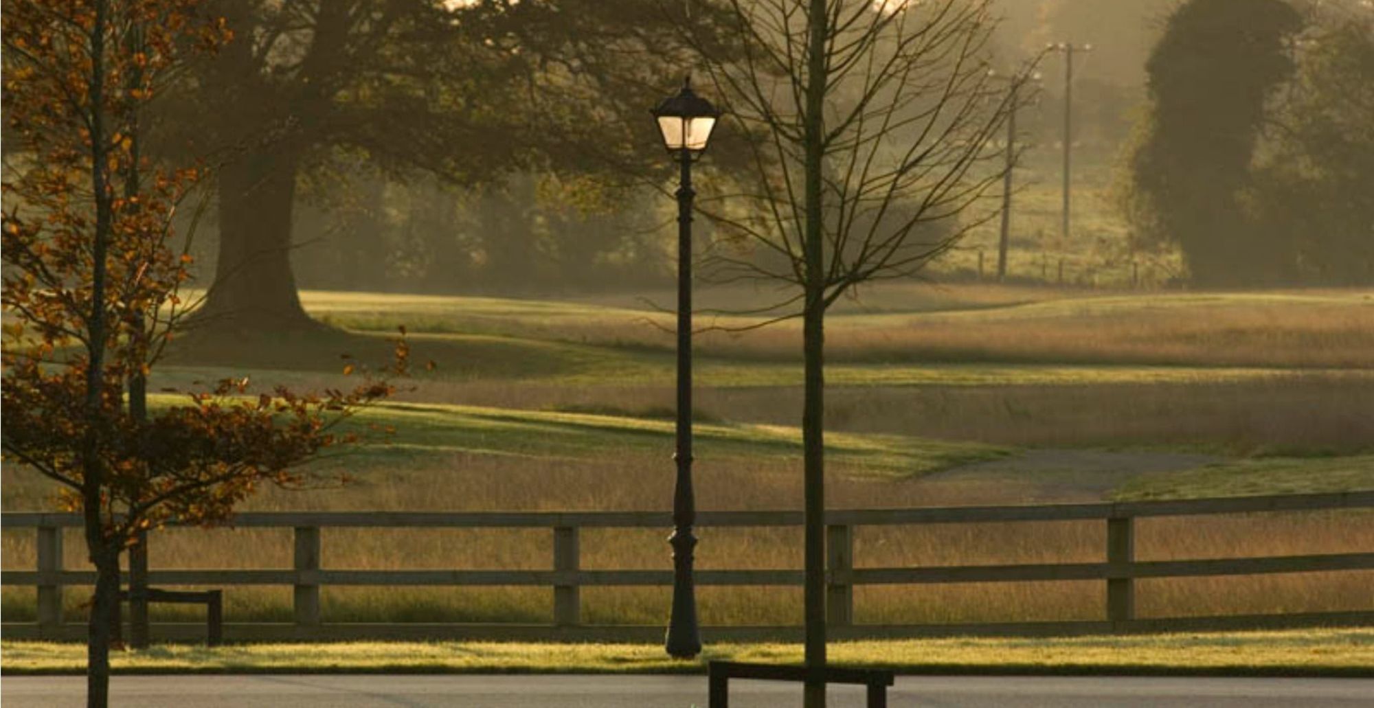 & Golf 4*